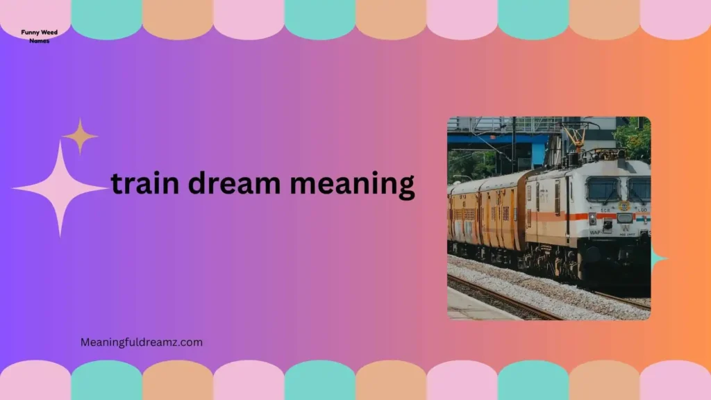 Why Do Train Dreams Matter?