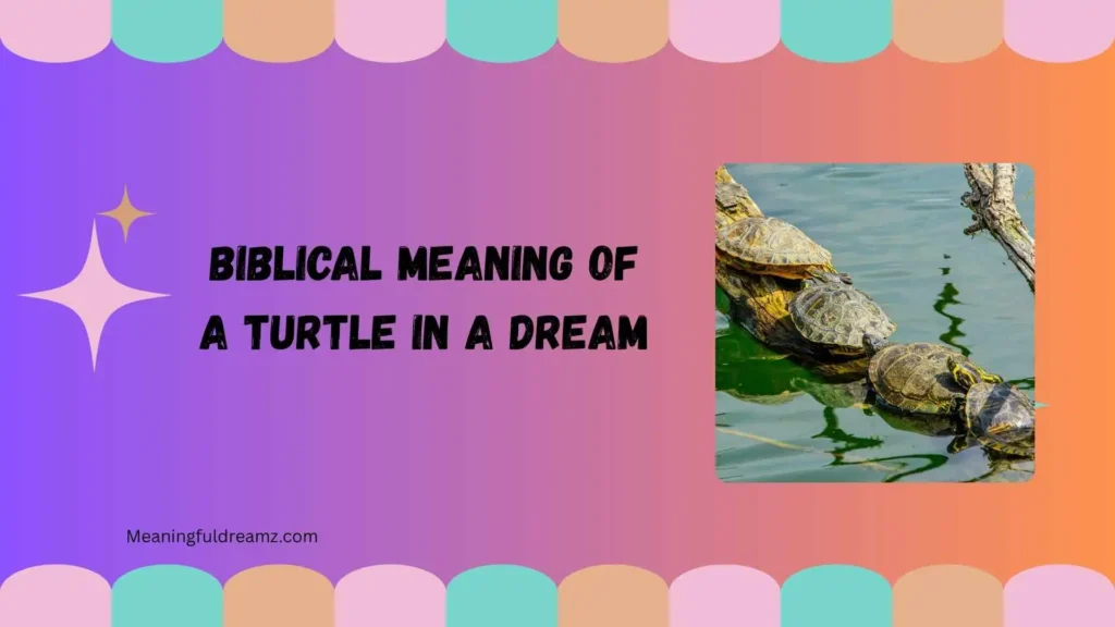 Why Does the Biblical Meaning of a Turtle in a Dream Matter?