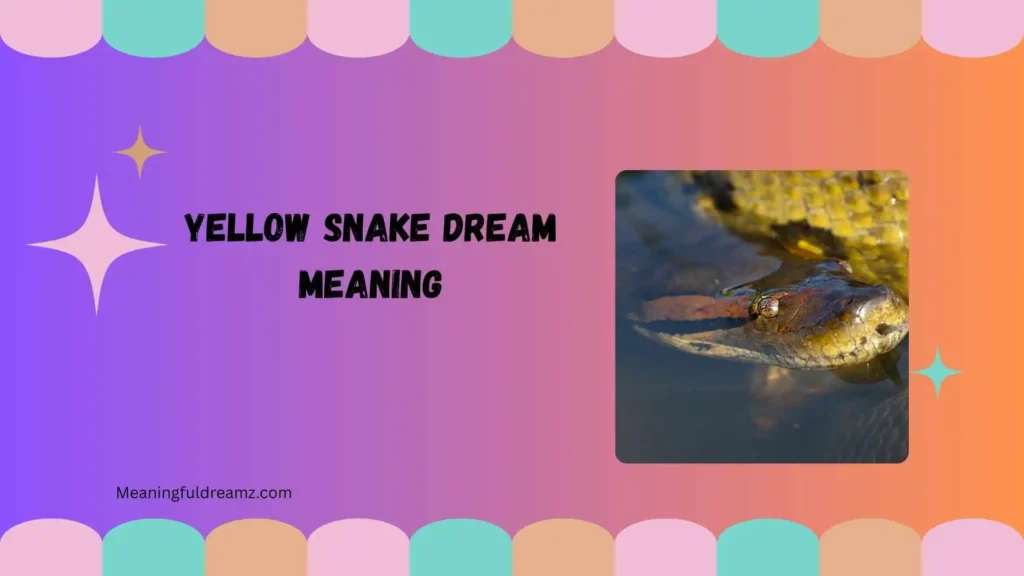 yellow snake dream meaning