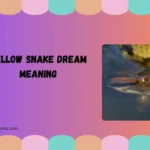 yellow snake dream meaning