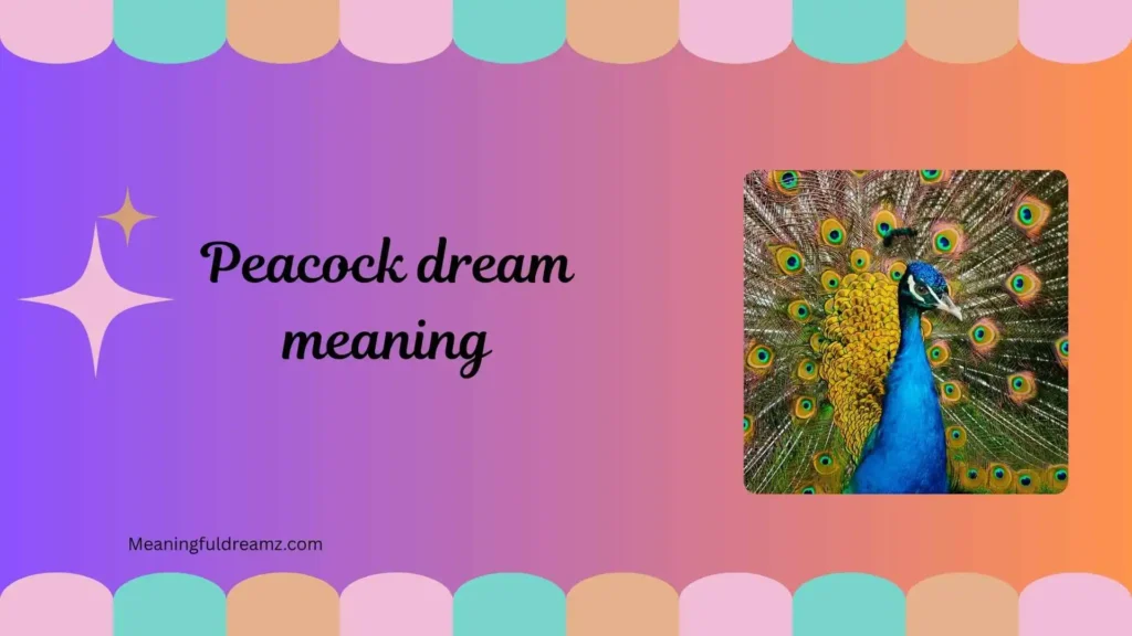How to Understand Peacock Dream Meaning