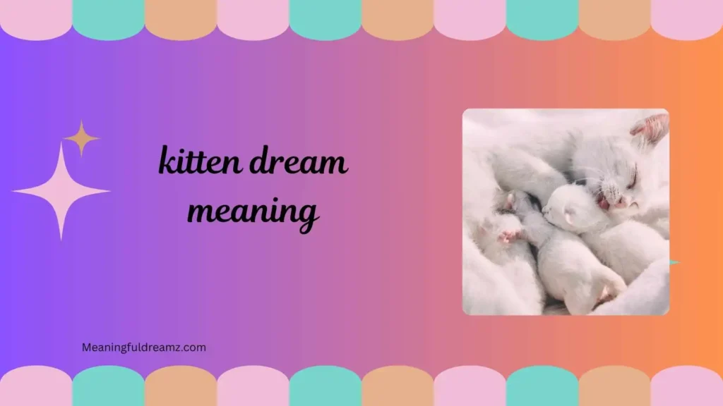 Types / Categories / Variations of Kitten Dream Meaning