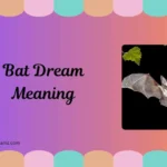 Bat Dream Meaning