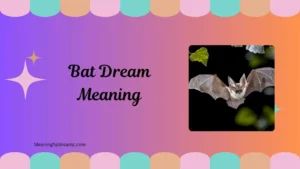 Bat Dream Meaning