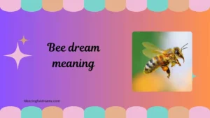 bee dream meaning