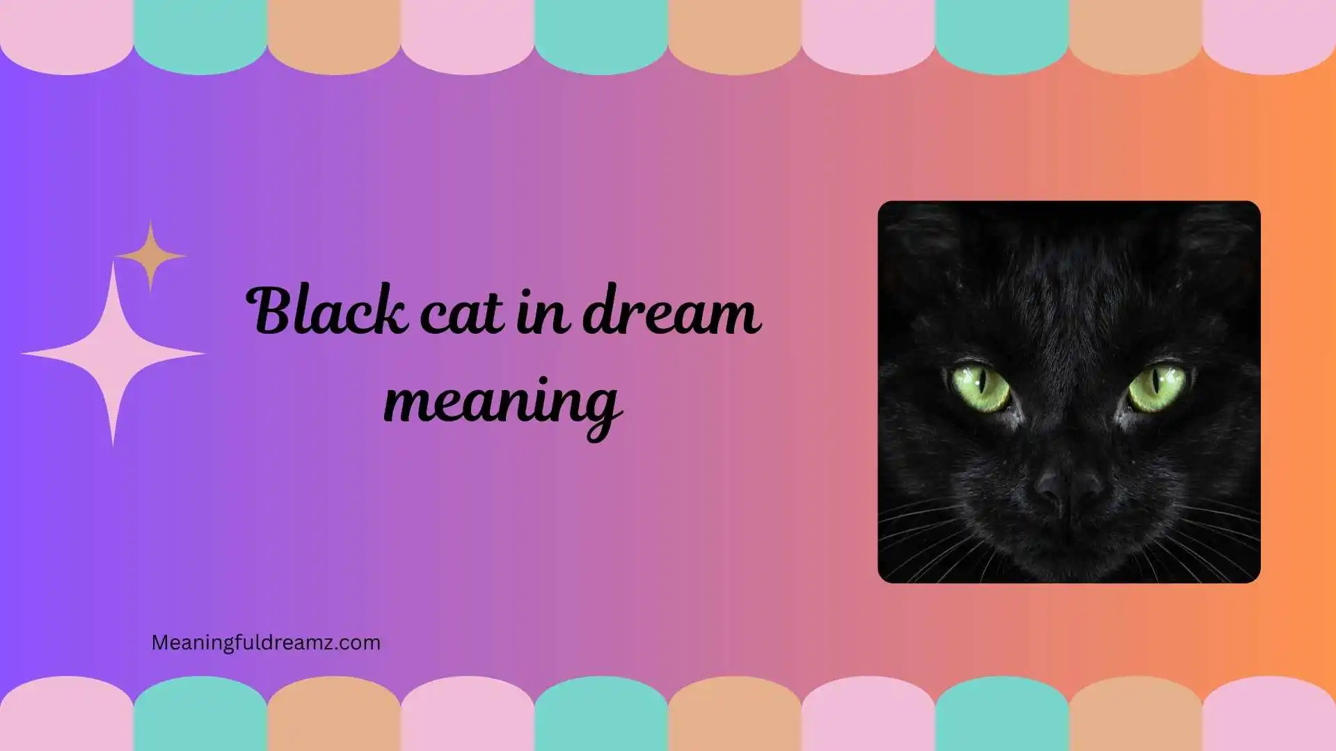 black cat in dream meaning