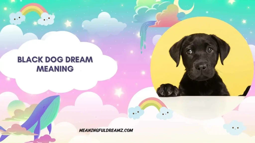 Black Dog Dream Meaning Spiritual