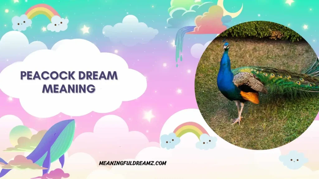 Black Peacock Dream Meaning