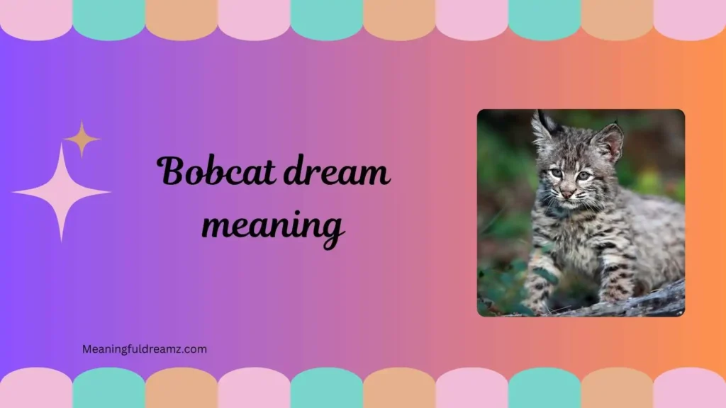 bobcat dream meaning