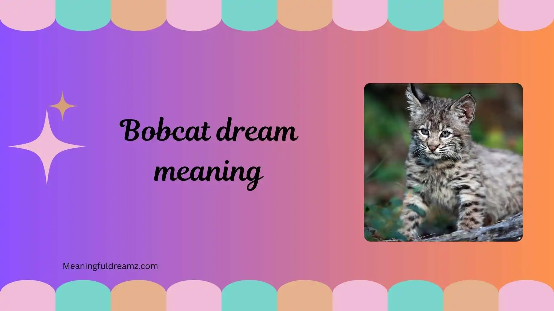 bobcat dream meaning