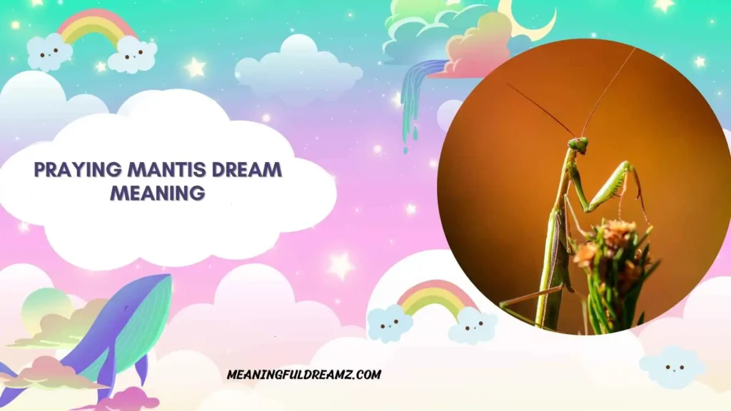 Brown Praying Mantis Dream Meaning