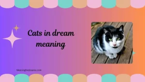 cats in dream meaning