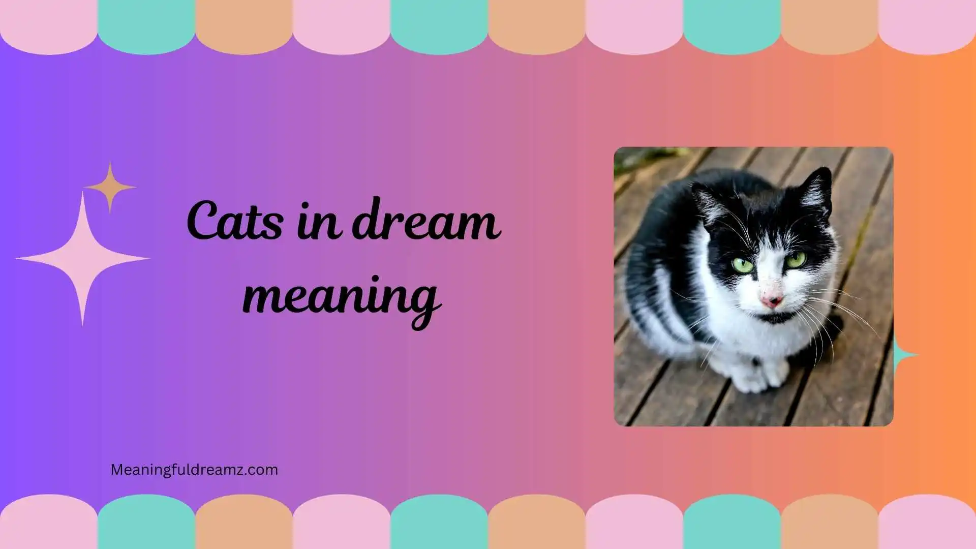cats in dream meaning