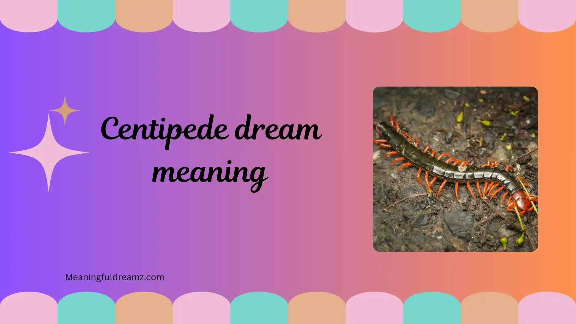 centipede dream meaning