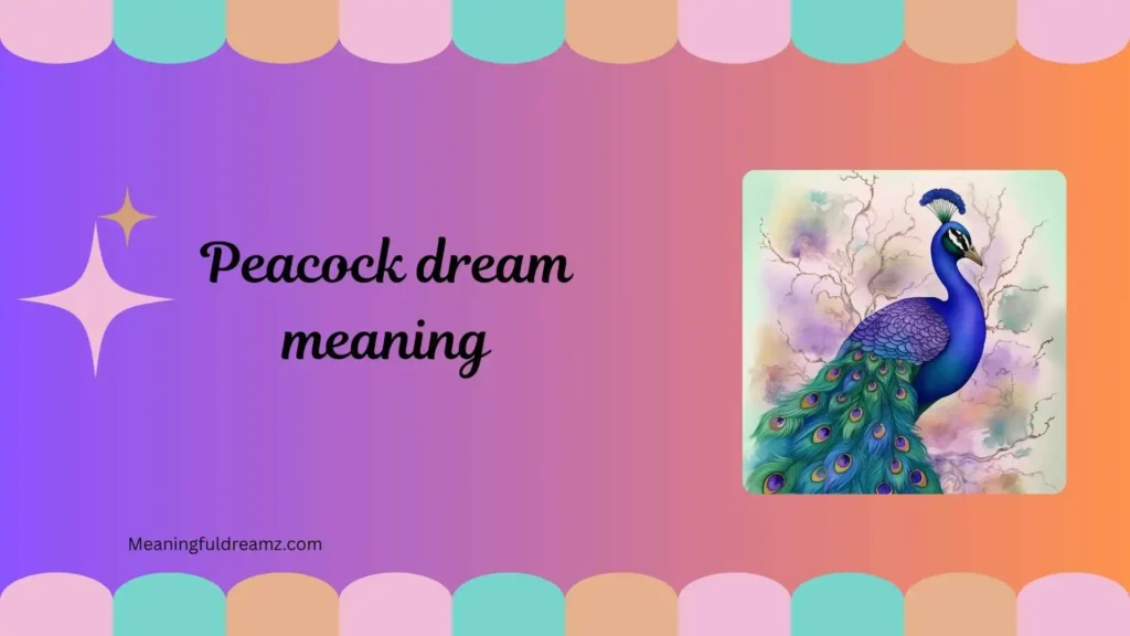 Common Examples and Features of Peacock Dream Meaning