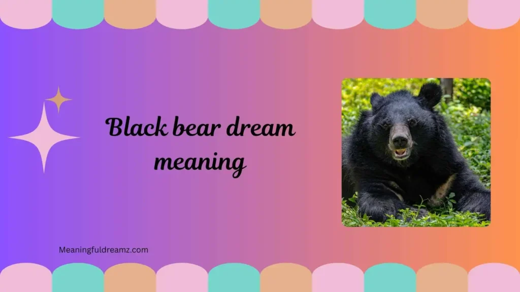 Common Examples, Features, and Symbolic Meanings of Black Bear Dreams