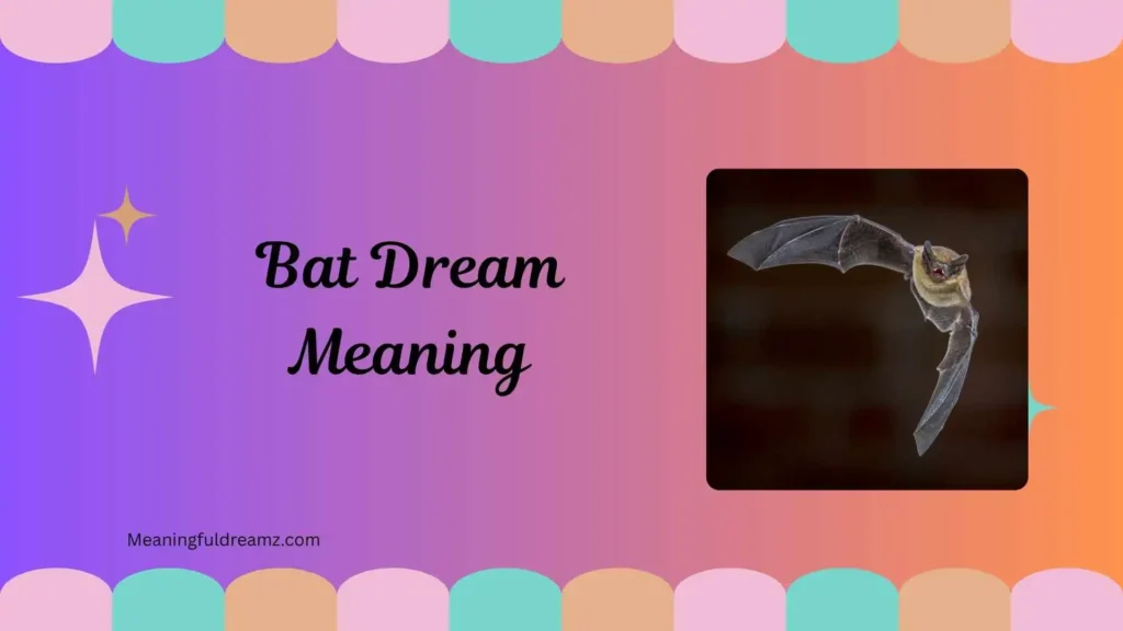 Common Examples / Features / Benefits of Bat Dream Meaning