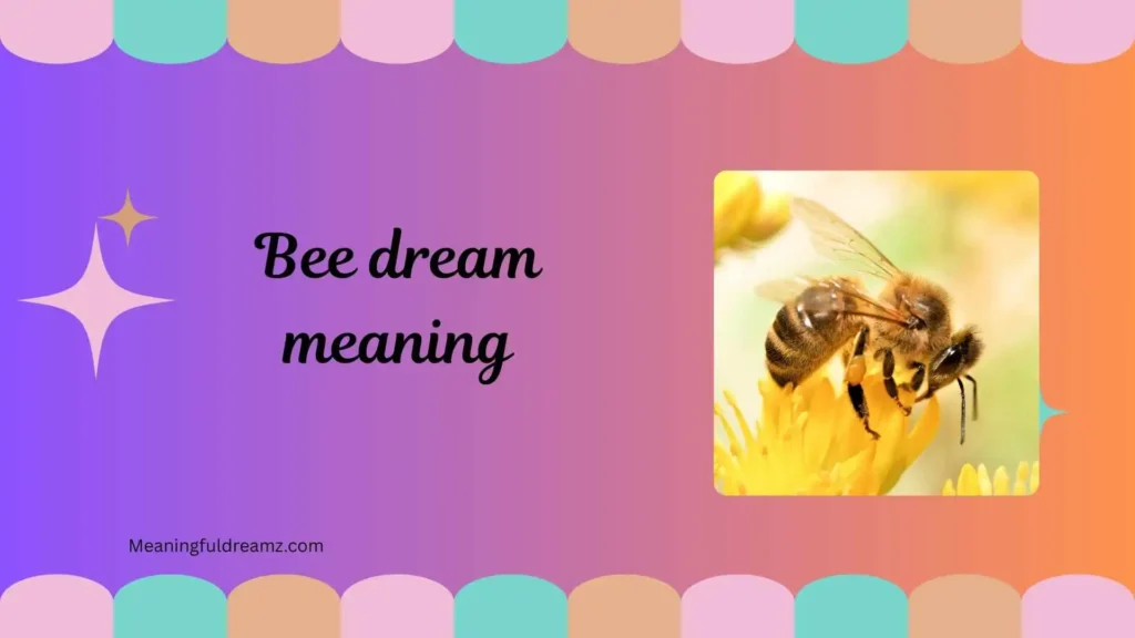 Common Examples / Features / Benefits of Bee Dream Meaning