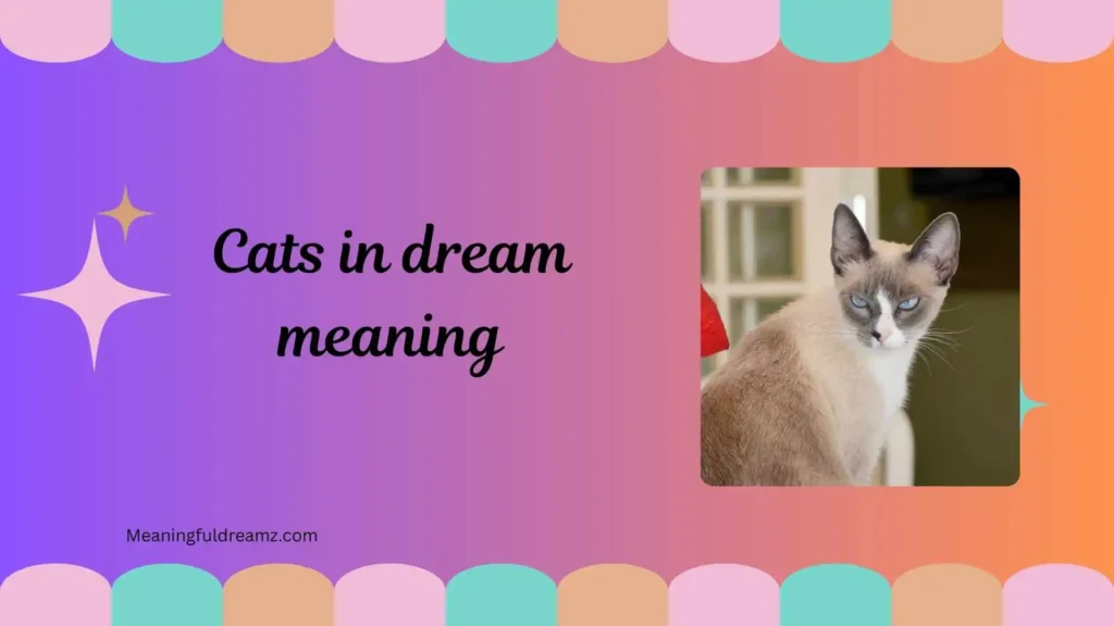 Common Examples / Features / Benefits of Cats in Dream Meaning