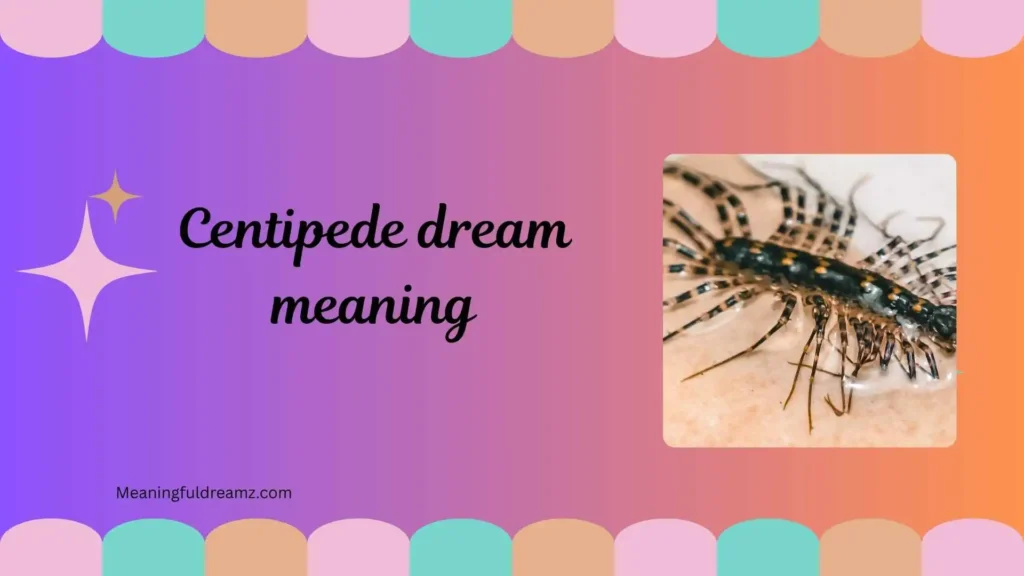 Common Examples / Features / Benefits of Centipede Dream Meaning