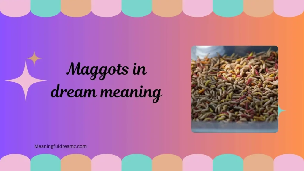 Common Examples / Features / Benefits of Maggots in Dream Meaning