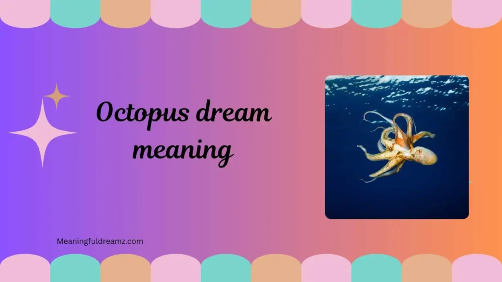 Common Examples / Features / Benefits of Octopus Dream Meaning