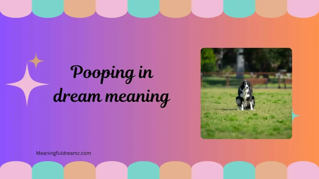 Common Examples / Features / Benefits of Pooping in Dream Meaning