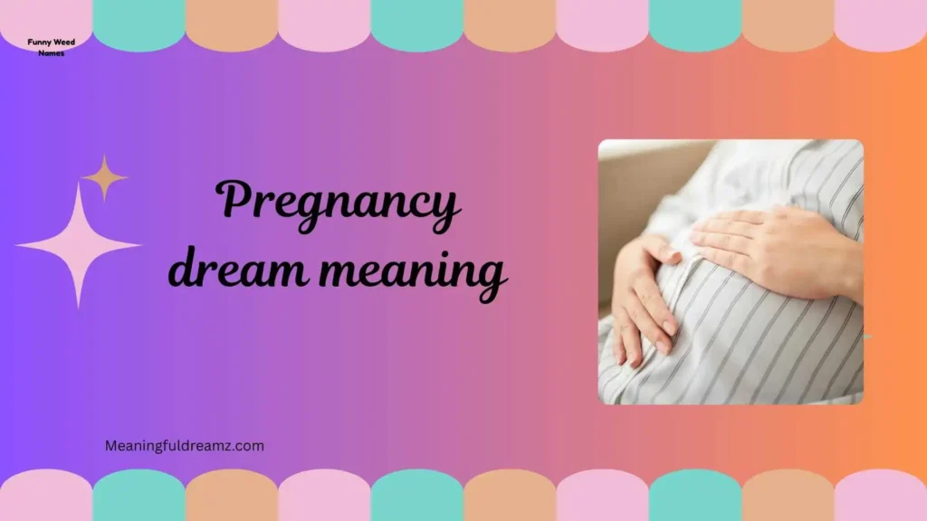 Common Examples / Features / Benefits of Pregnancy Dream Meaning