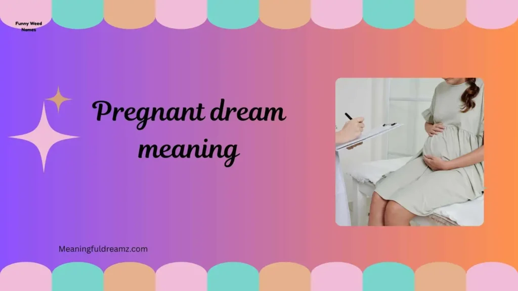 Common Examples / Features / Benefits of Pregnant Dreams