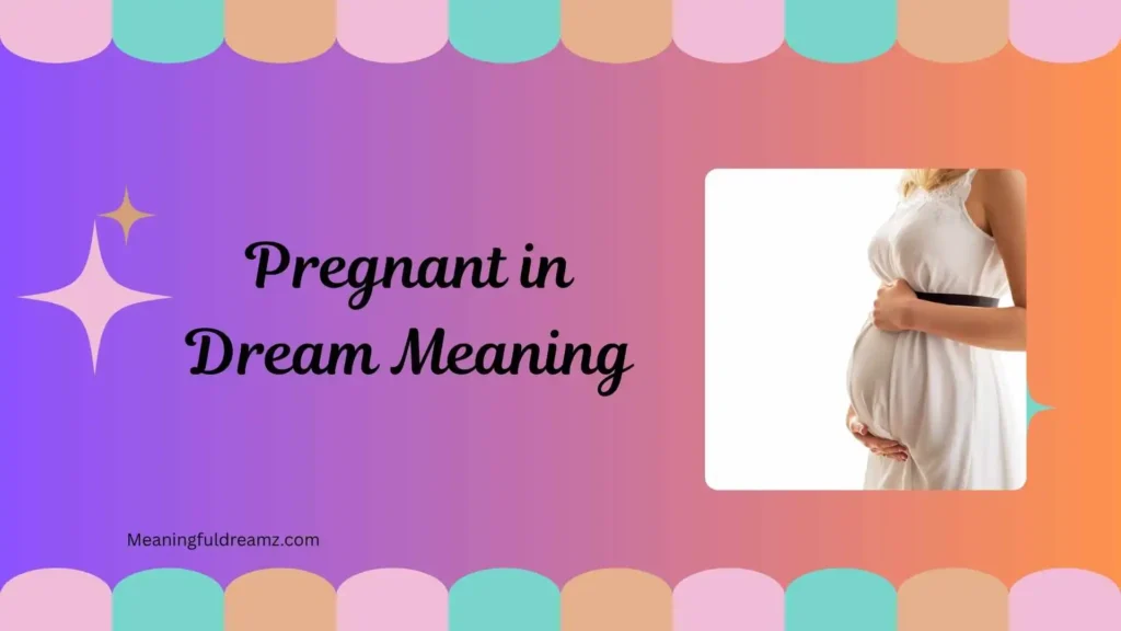 Common Examples / Features / Benefits of Pregnant in Dream Meaning