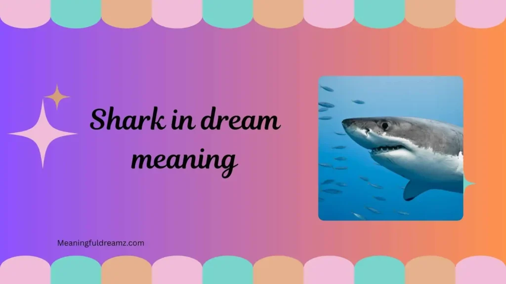 Common Examples / Features / Benefits of Shark in Dream Meaning