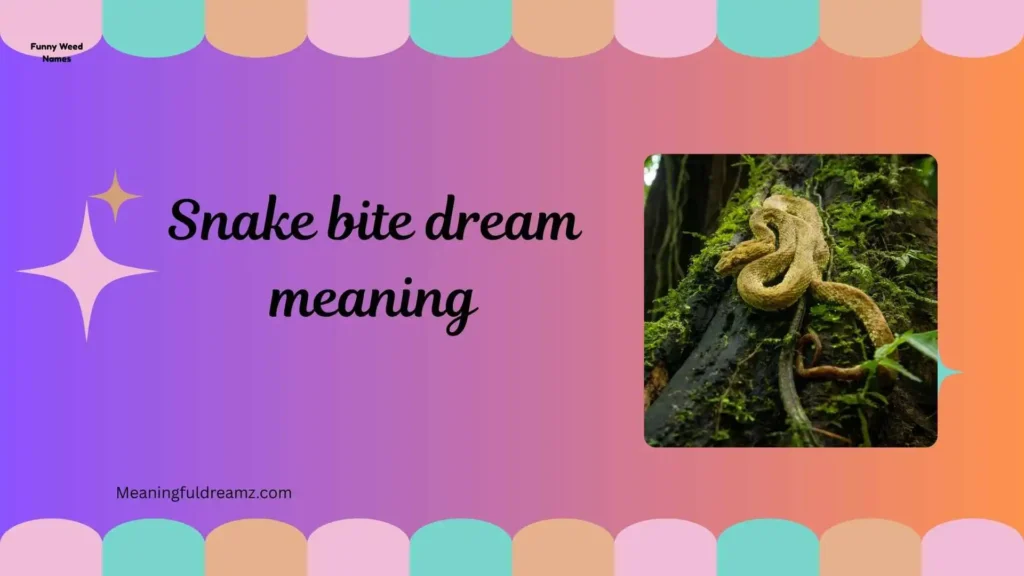 Common Examples / Features / Benefits of Snake Bite Dreams