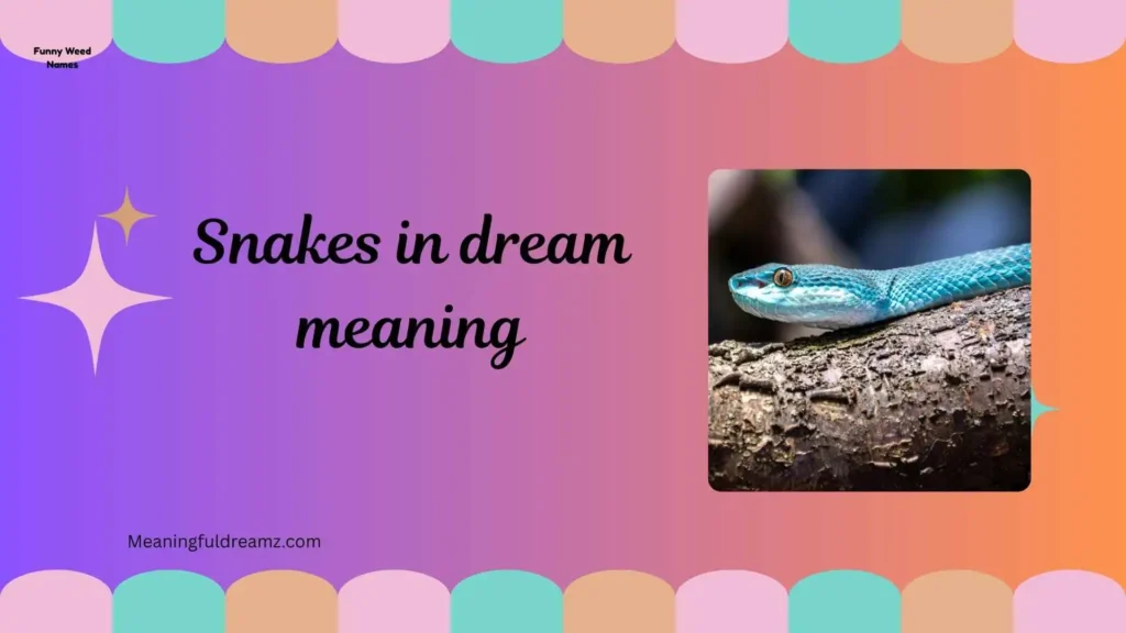 Common Examples / Features / Benefits of Snake Dreams