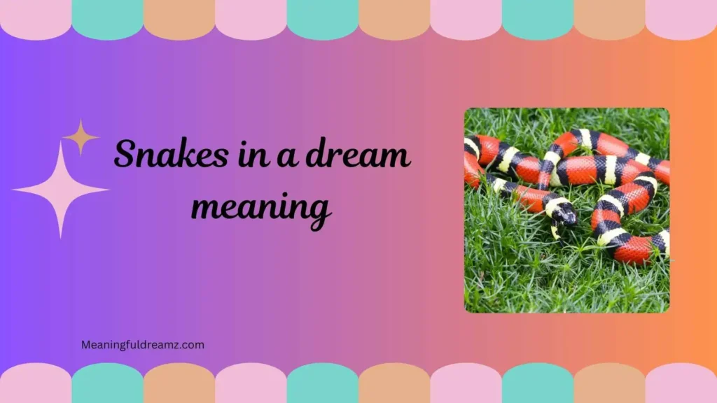 Common Examples / Features / Benefits of Snakes in Dreams