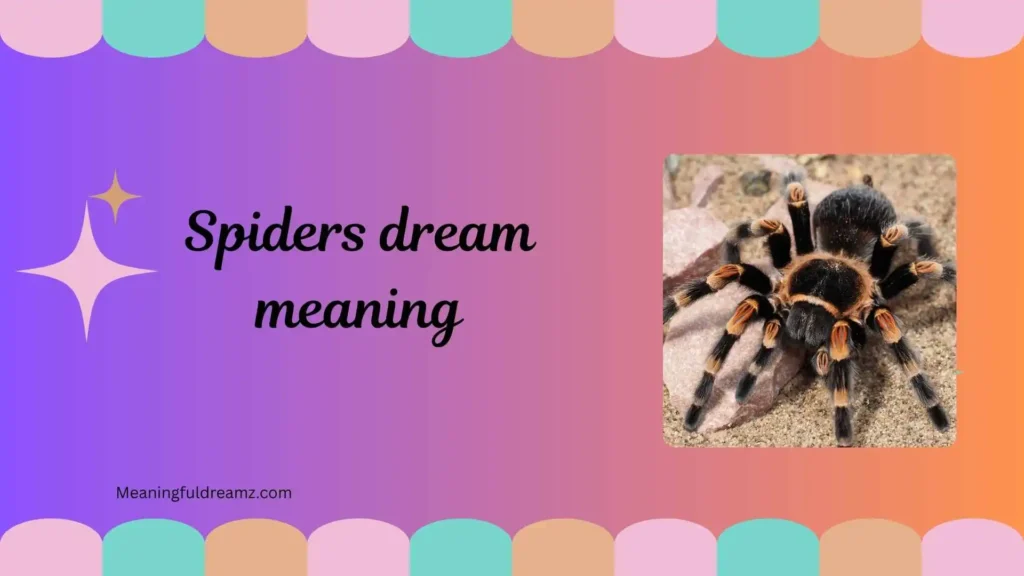 Common Examples / Features / Benefits of Spiders Dream Meaning