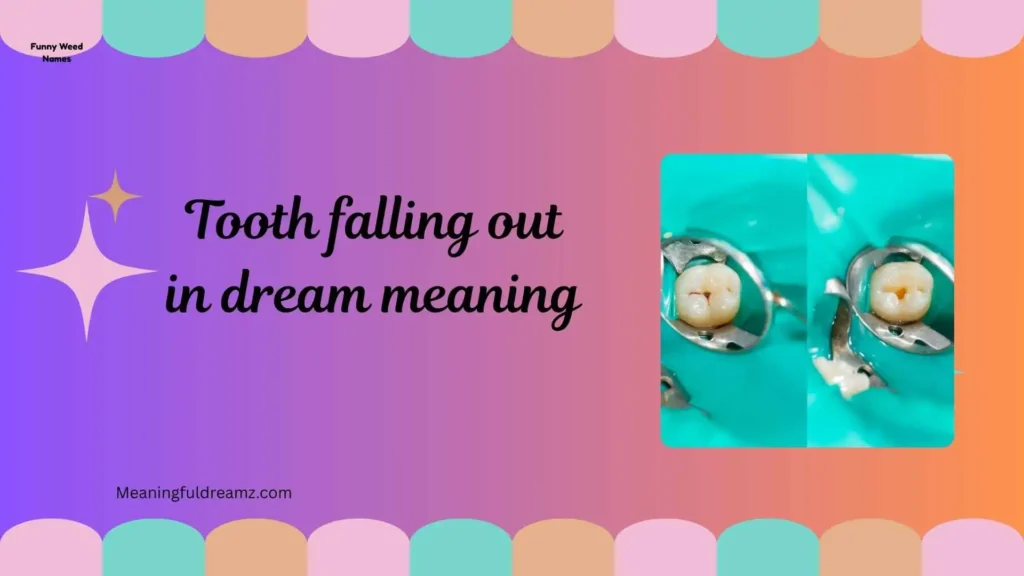 Common Examples / Features / Benefits of Understanding This Dream