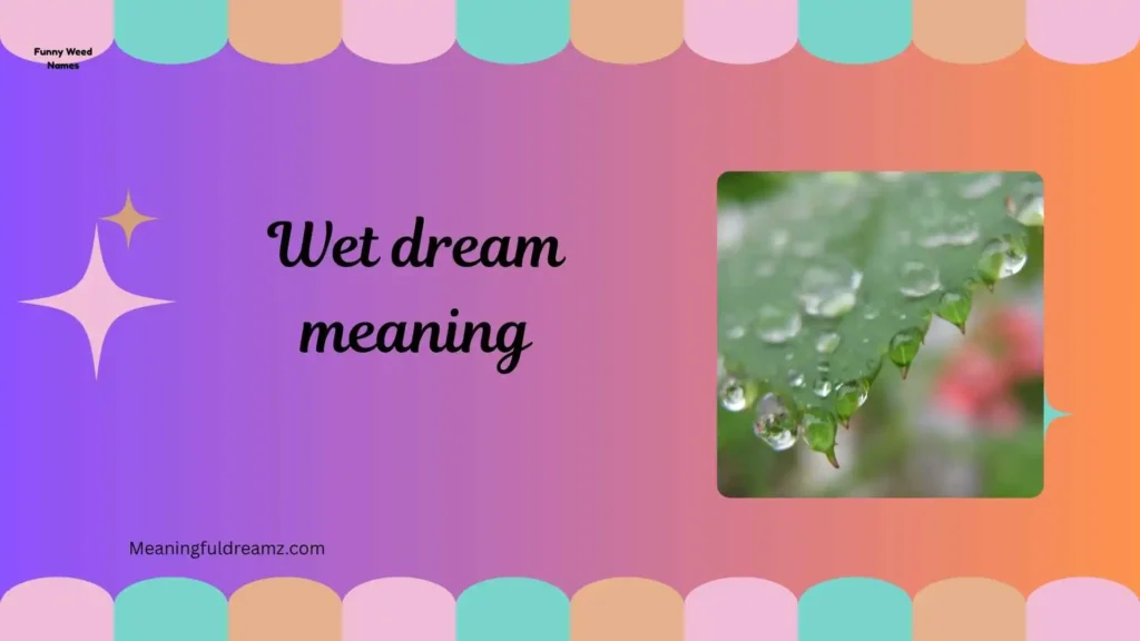 Common Examples / Features / Benefits of Wet Dreams