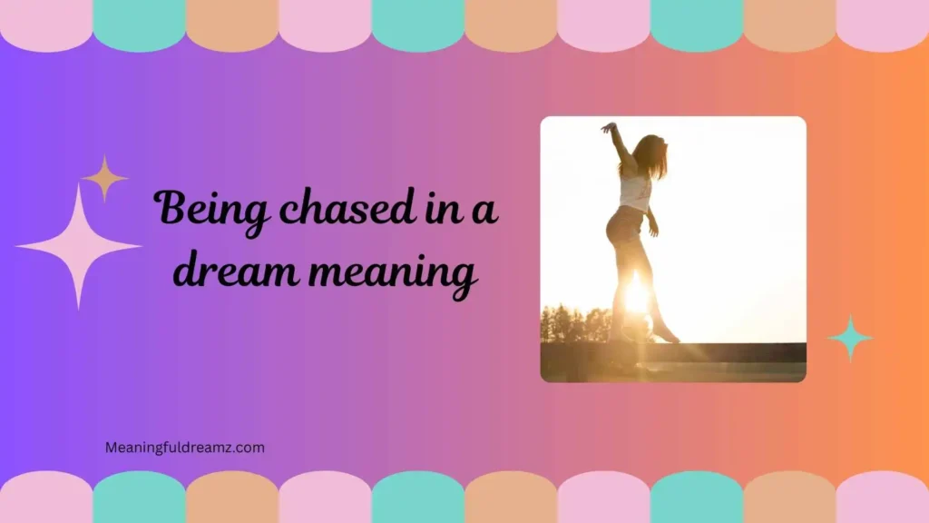 Common Examples / Features / Meanings of Being Chased in a Dream Meaning