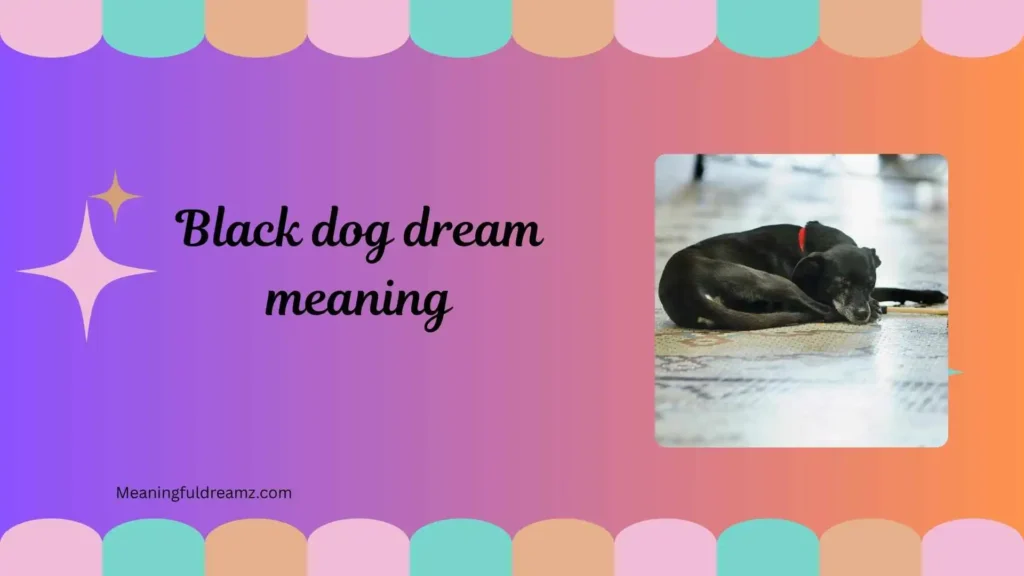 Common Examples / Features / Meanings of Black Dog Dream Meaning