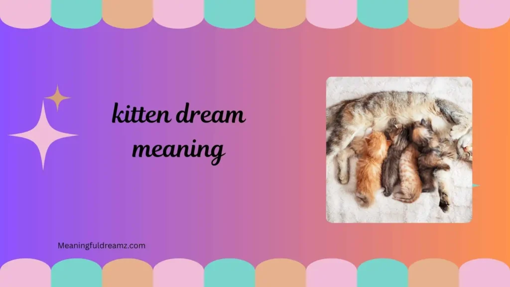 Common Examples / Features / Meanings of Kitten Dream Symbolism