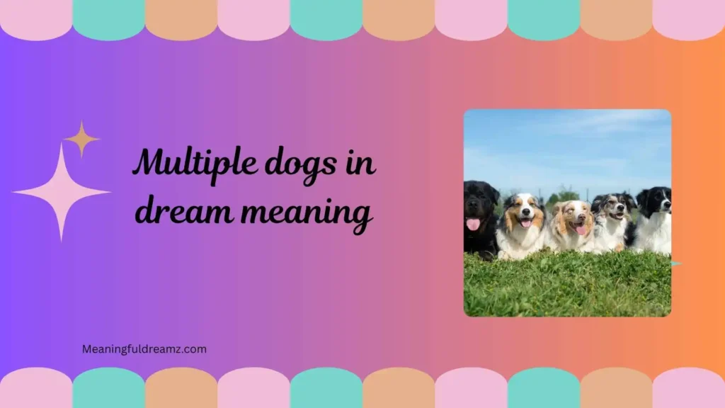 Common Examples / Features / Meanings of Multiple Dogs in Dream
