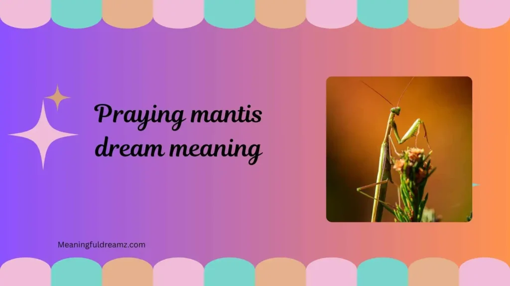 Common Examples / Features / Symbolism of Praying Mantis Dream Meaning