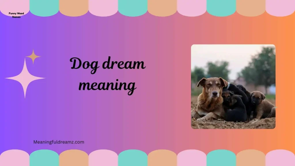 Common Features & Symbolism of Dog Dream Meaning