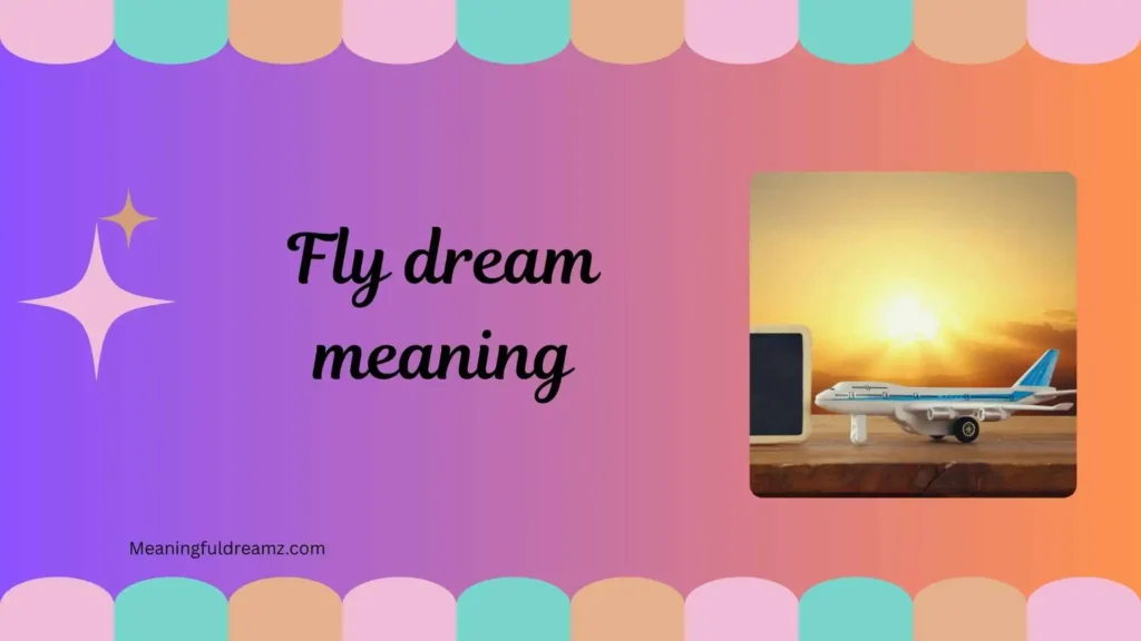 Common Features and Symbolism of Fly Dreams
