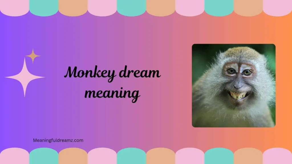 Common Features and Symbolism of Monkey Dreams