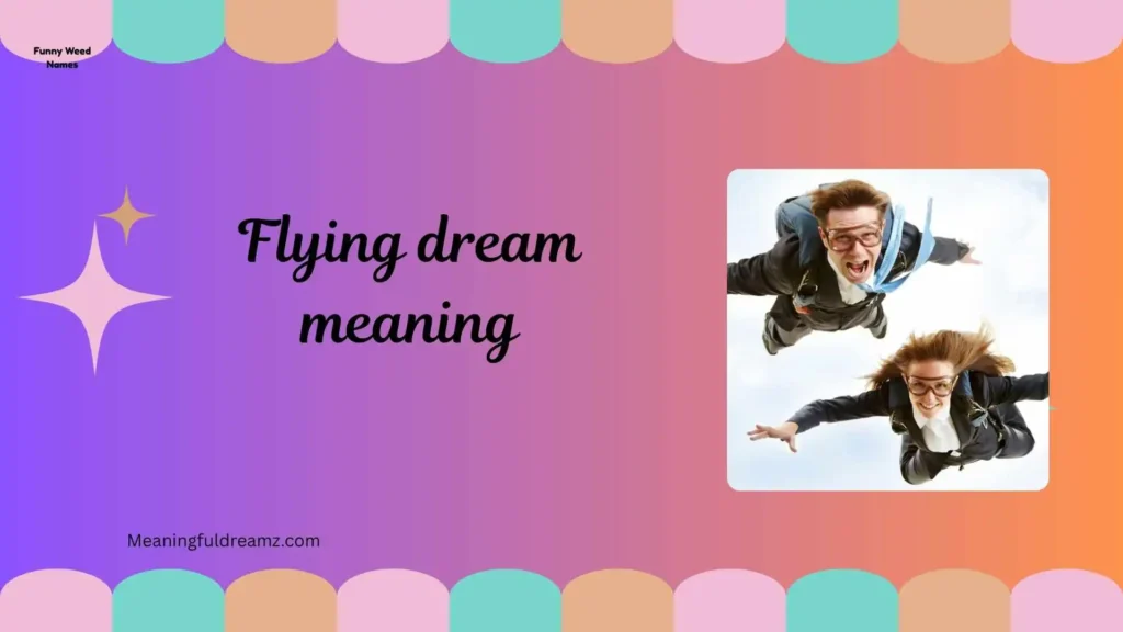 Common Features / Benefits of Flying Dreams