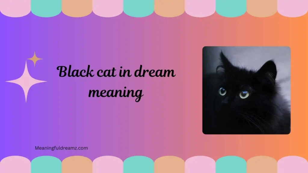Common Symbolic Meanings of Black Cat Dreams