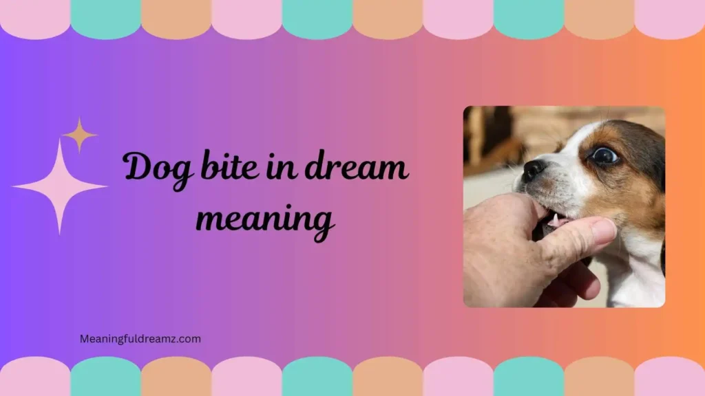 Common Symbolism Behind Dog Bite Dreams