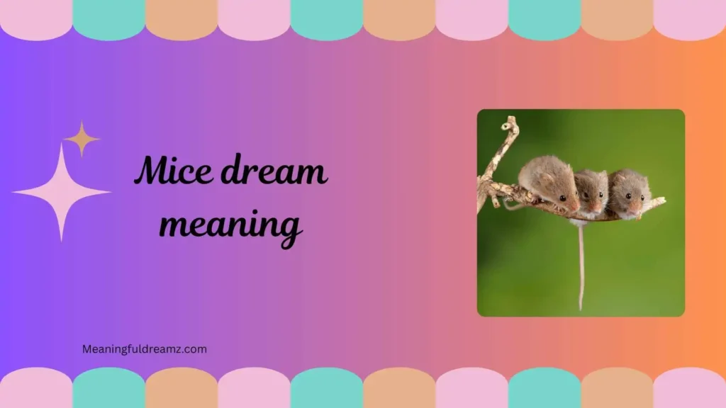 Common Symbolism of Mice in Dreams