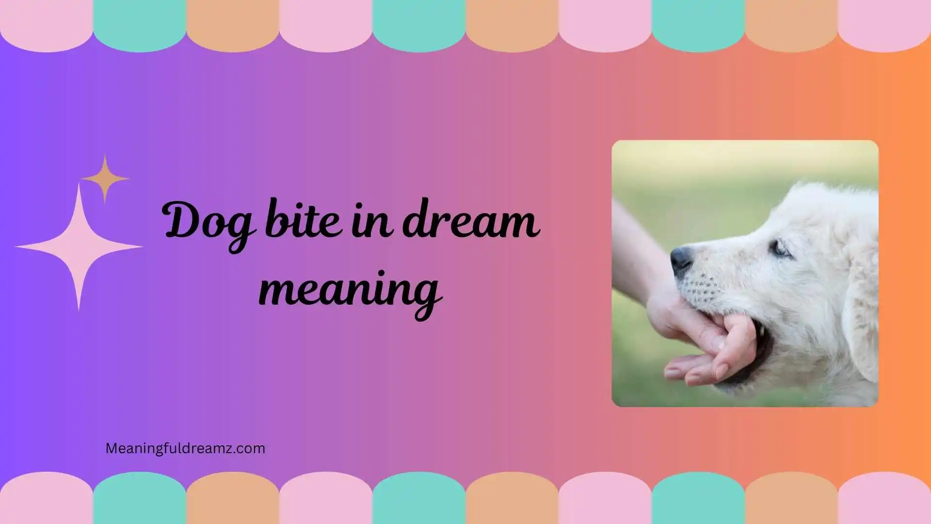 dog bite in dream meaning
